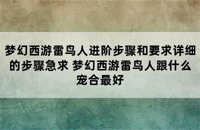 梦幻西游雷鸟人进阶步骤和要求详细的步骤急求 梦幻西游雷鸟人跟什么宠合最好